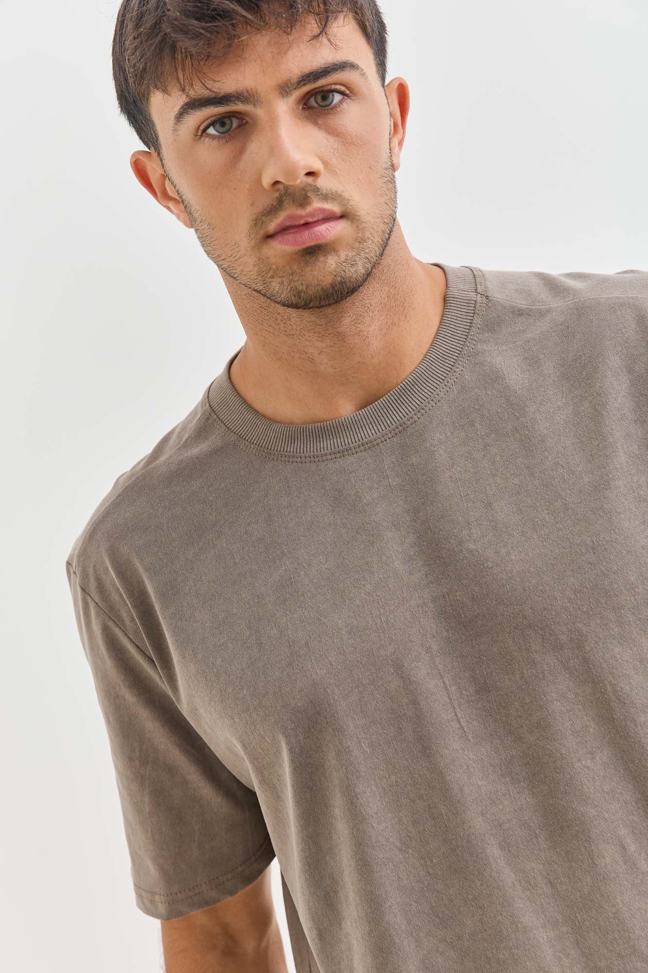 טי שירט דייויד בד וואש | חום