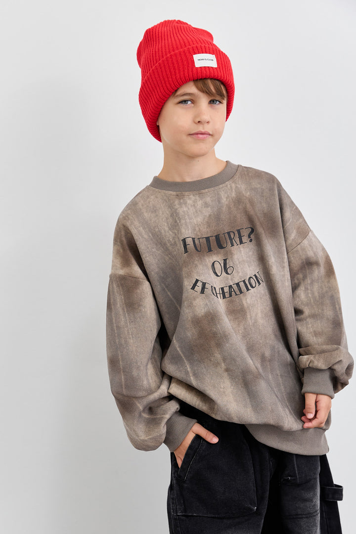 סוויטשירט אוברסייז טאי דאי עם פרינט | חום